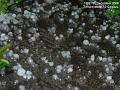 2006-1207hail